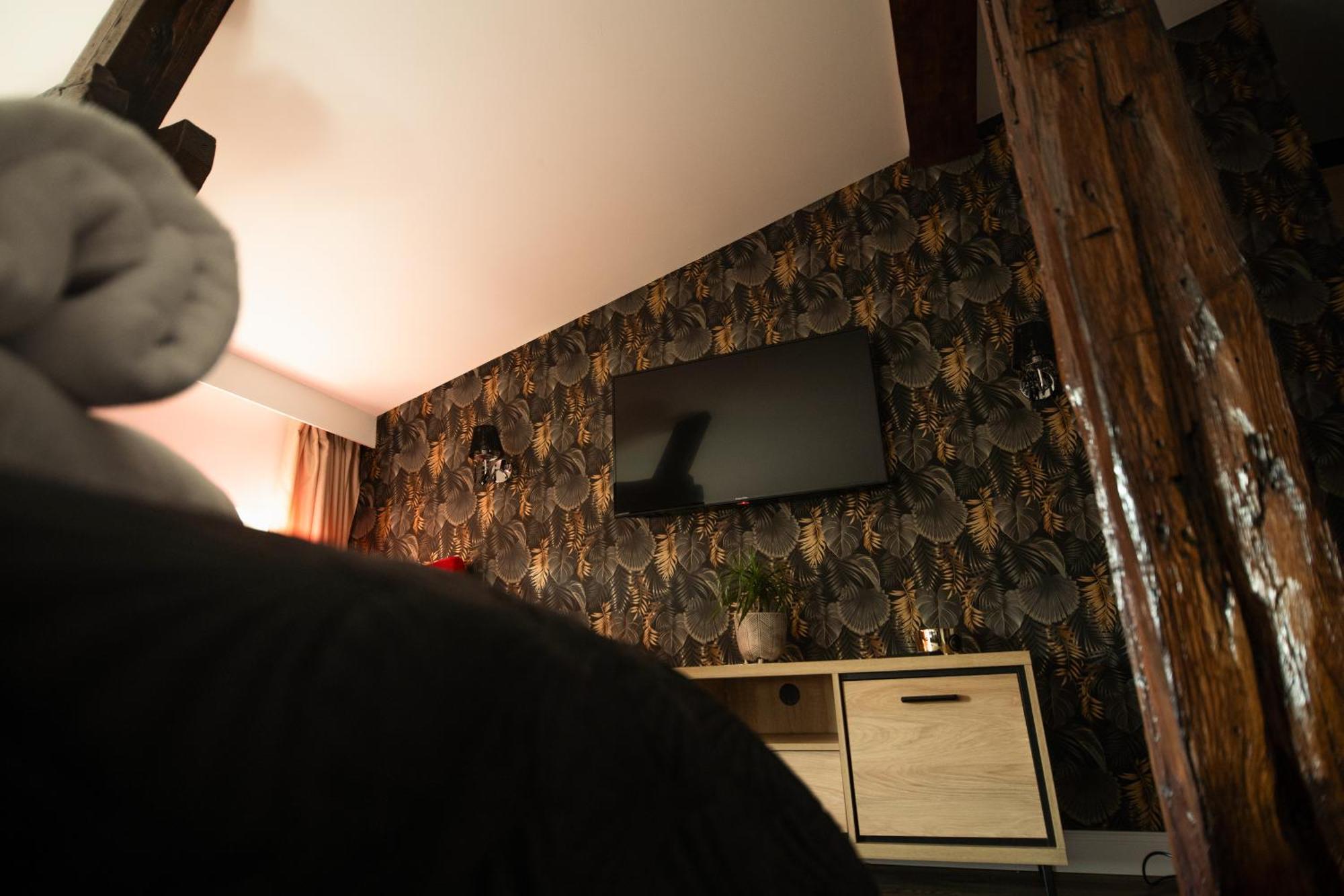 Ts Apartamenty Бидгощ Екстер'єр фото